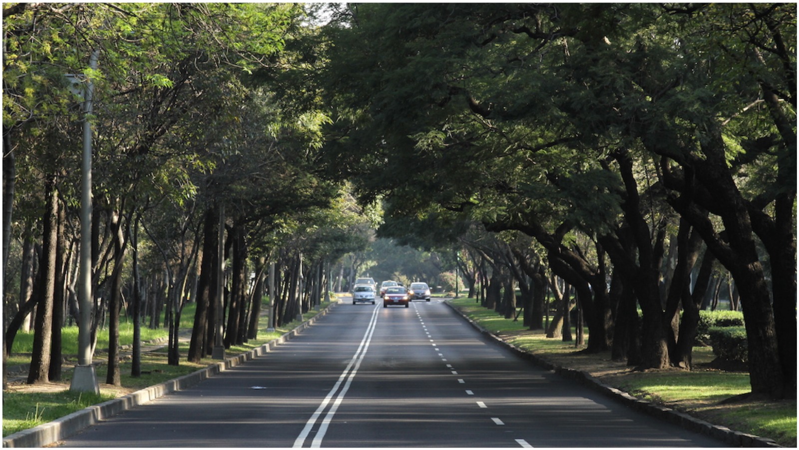 Streets/Roads/Expressways/Highways